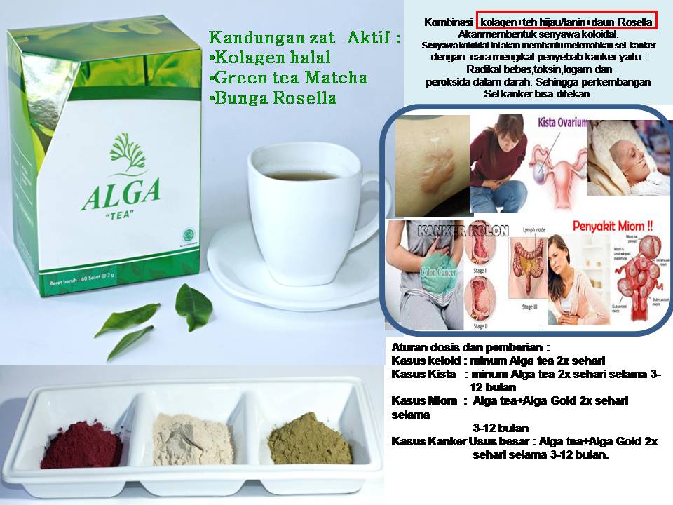 Agen Alga Tea Herbal Kanker Terbaik Di Singkil